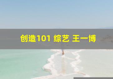 创造101 综艺 王一博